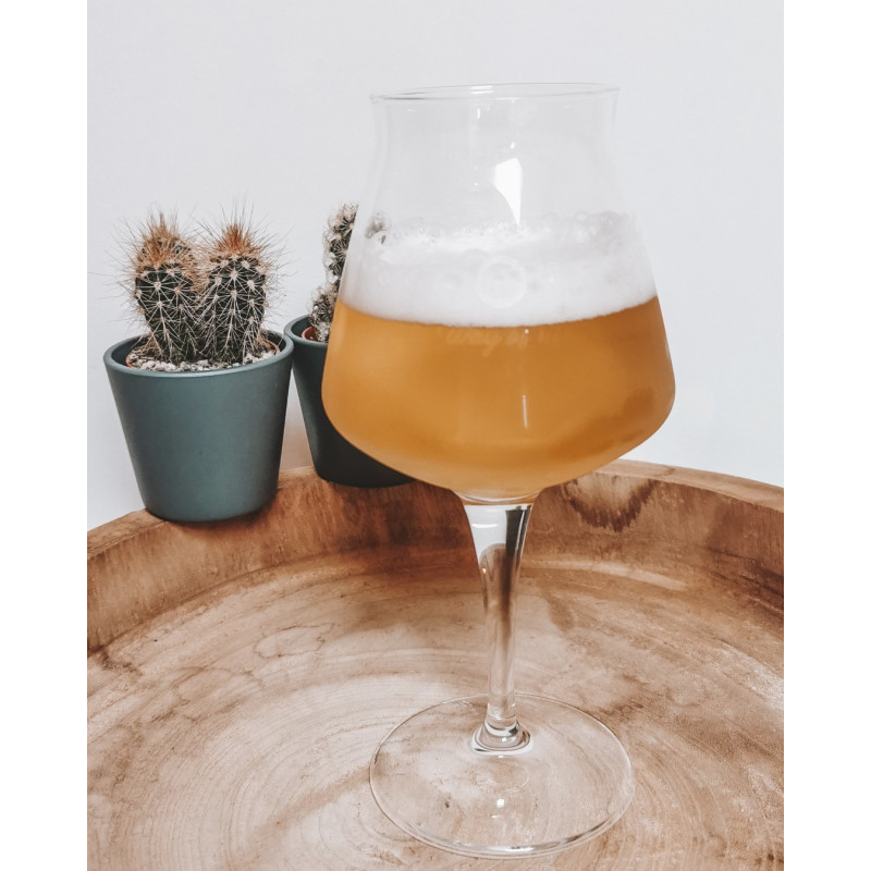 Verres à Bière TEKU ALOHA STAR. Ambiance Plage et Océan, Apéro. beachlovers